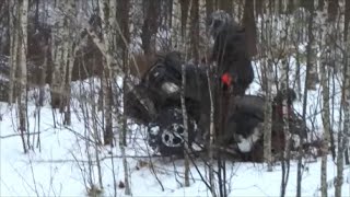 preview picture of video 'Весёлый пытается валить деревья на квадроцикле...'