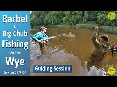 Barbel & Big Chub Fishing On The Wye - Guiding Session - Stick Float Trotting & Legering - 27/8/23