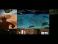 Disney Montage