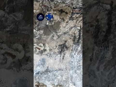 PINTURA RUPESTRE EN LA CUEVA DE LA LEONA EN LA COMUNA DE LAGUNA BLANCA EN MAGALLANES. CHILE.