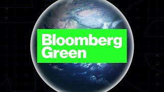 Bloomberg Green: What Really Happens to Your Recycling?