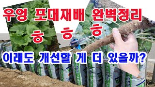 우엉 포대재배 완벽정리? ㅎ ㅎ 이래도 개선할 게 더 있을까? (우엉재배, 포대재배, 포대 흙 담는 법, 포…