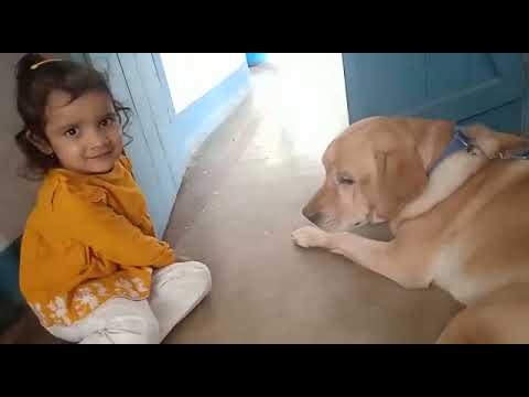 A cute baby  plays with a pet 🐕shorts videos