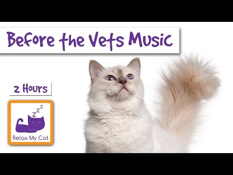 Relax and De-Stress Your Cat Before Visiting The Vets! Relaxing Music for Cats! 🐱 #VET01