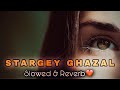 Stergey Ghazal || Slowed & Reverb Song || 2022