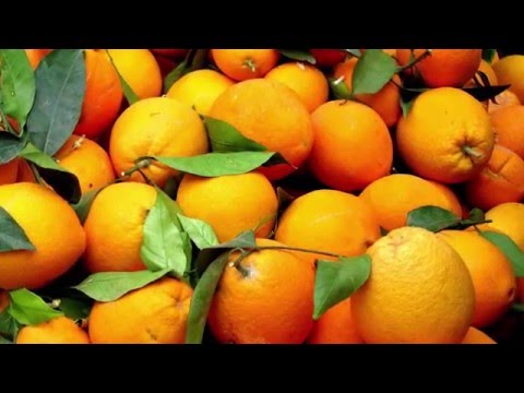 Rhymes With Orange