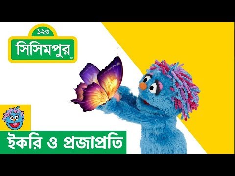 Sisimpur Ikri And Butterfly ইকরি ও প্রজাপ্রতি