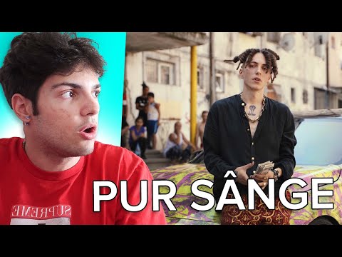 REACTIONAM LA Damian & Brothers ❌ @KILLA FONIC - Pur Sange