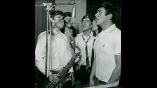 The Dave Clark Five - I Still Need You
