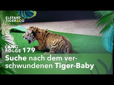 Schwerer Start (Langfolge 179) | Elefant, Tiger & Co. | ARD