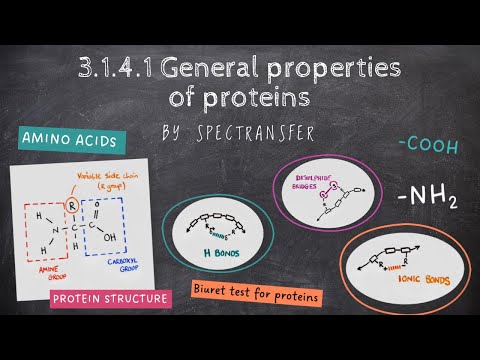 EASY REVISION AQA A-level Biology 3.1.4.1 General properties of proteins by SpecTransfer