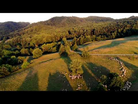 Berislavesti, Valcea