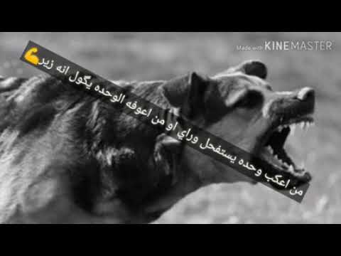 ٣ يوليو ٢٠٢٢