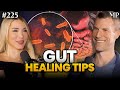 Gut Health, Methylene Blue, and Functional Medicine | Josh Axe EP 225