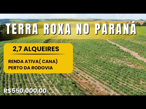 TERRA ROXA NO NORTE DO PARANÁ- 2,7  ALQUEIRES JÁ RENDENDO