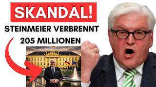 Steinmeier gibt 205 Millionen für ein EINZIGES Jahr aus – Wahnsinn!
