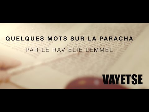 Jacob... 14 années de passion ?! Rav Élie Lemmel - Parasha Vayétsé