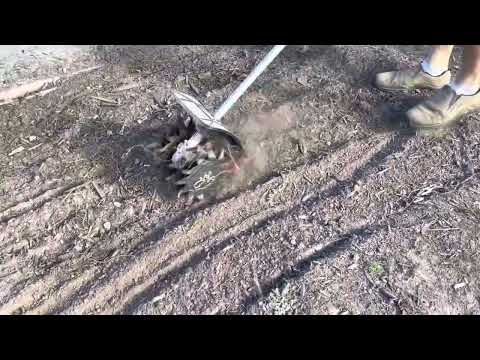 Stihl 131R Kombi System- BF-KM Mini Cultivator