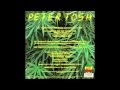 Peter Tosh - Legalize It - Dub Club Remix ...