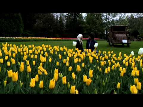 ANS. SPEV - TVOJE OČI