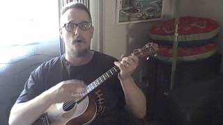 20 percent alcohol - J.B. Hutto Cover on Baritone Ukulele