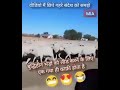 मेरा गधा गधों का लीडर गधा Leader I Rahul Gandhi L