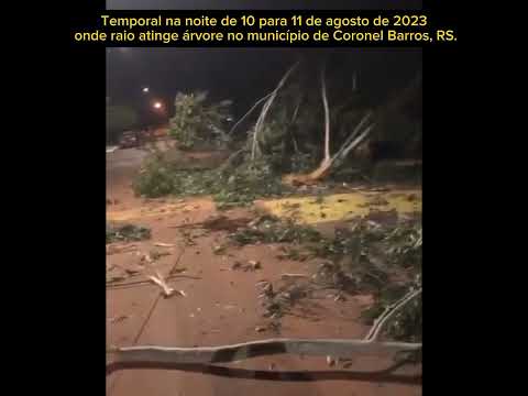Raio atinge árvore no município de Coronel Barros, RS.11.08.23 #riograndedosul #temporalnosul