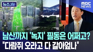 남산까지 '녹지' 필동은 어쩌고?.. "다람쥐 오라고 다 갈아엎나" [뉴스.zip/MBC뉴스]