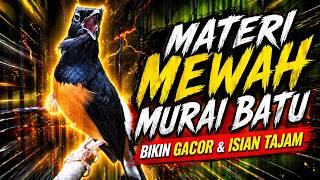 Download lagu PANCINGAN MURAI BATU PAGI HARI FULL ISIAN TEMBAKAN, AMPUH BIKIN MURAI BATU BONGKAR ISIAN mp3
