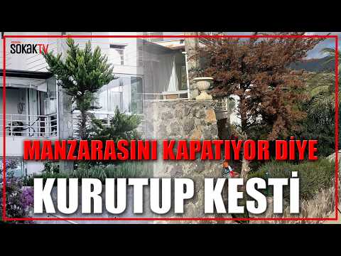 Manzarasını Kapatan Ağacı Kurutup Kesti