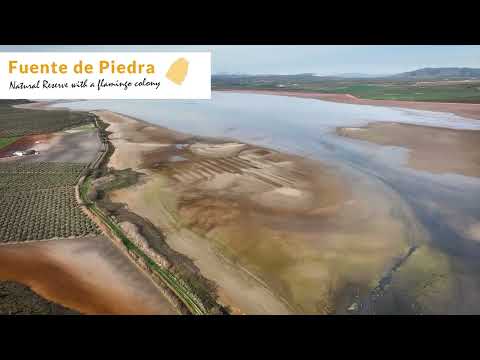 Visit the region of Antequera!