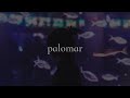 we've all gone to sleep - grouper (slowed)