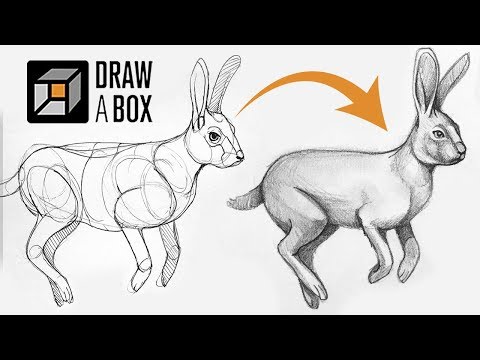 Learn to Draw for Free: DrawABox Review