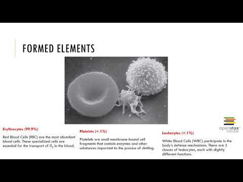 Chapter 18 Recorded Lecture