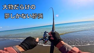 なぜか大型ヒラメばかり釣れるサーフでの、怪魚釣りの記録