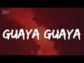 Don Omar - Guaya Guaya (Letra/Lyrics)
