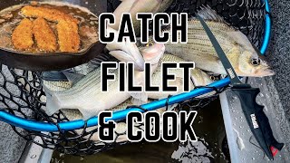 White Bass: The Underrated Fish That Tastes AMAZING – Here's The Secret!