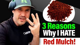 3 Reasons Why I HATE Red Mulch | Never A Good Landscaping Idea