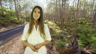 Moving Motions & Memories