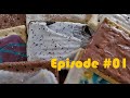 Pop Tarts Episode 001