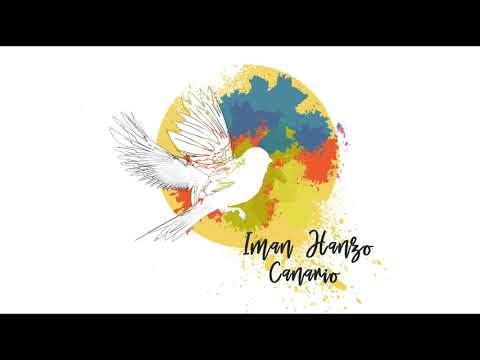 Iman Hanzo - Canario (Derun Remix) [trndmsk]