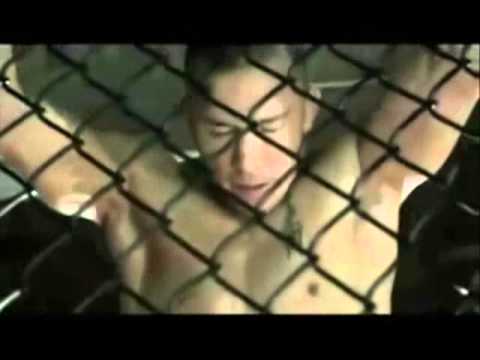 MMA Motivation video  .(never give up)