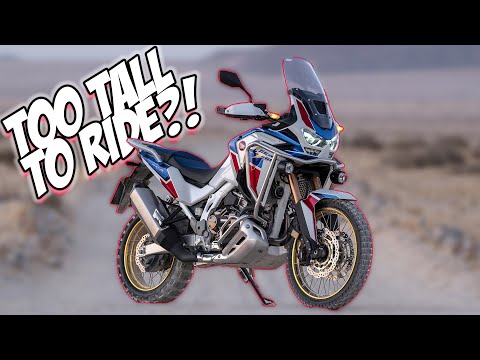 Klein wie ich? Mal sehen, ob ich ein Hochrad fahren kann!