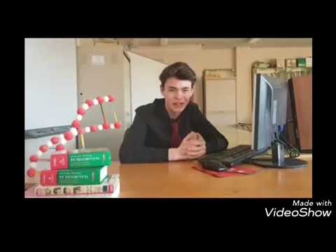 DESPIDO IMPROCEDENTE, DESIGUALDAD INDECENTE