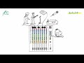 Adonia HOME Workshop Tontechnik