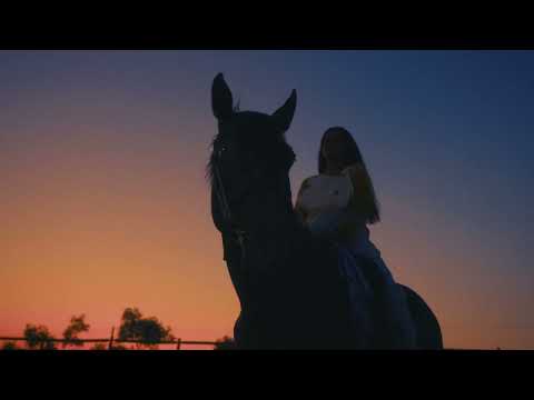 Silly - Cavalo à Solta