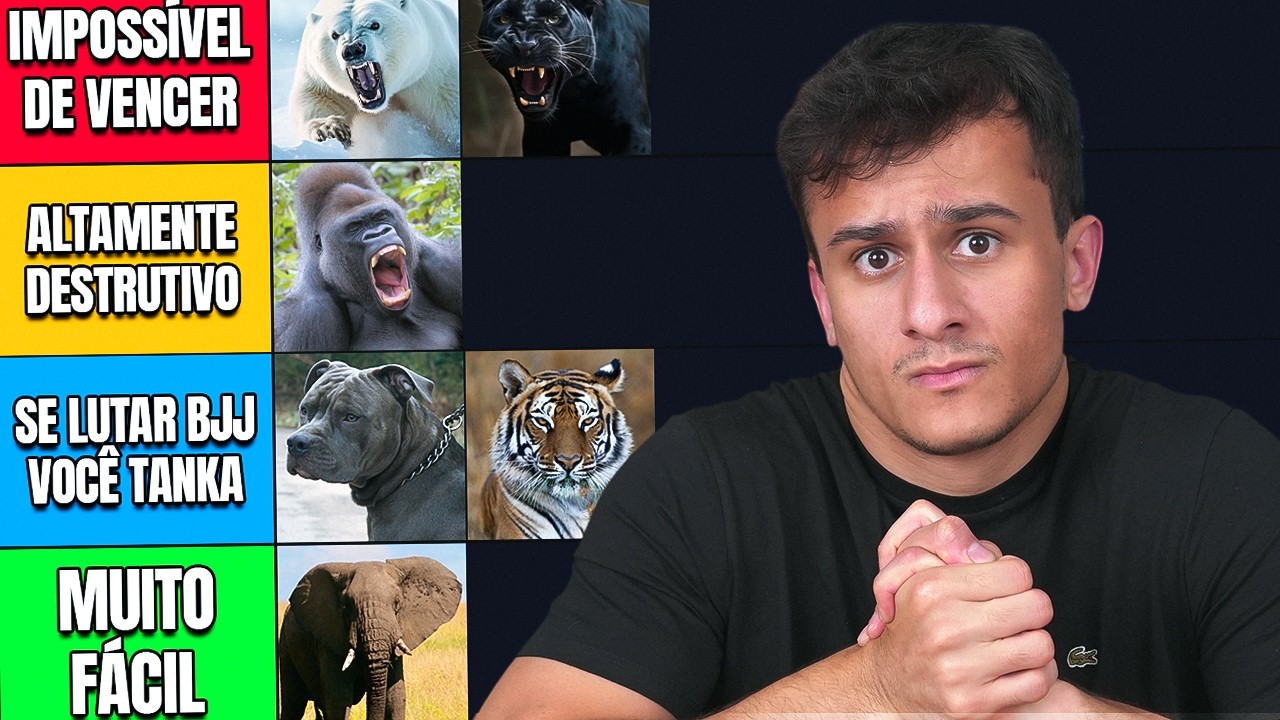 ANIMAIS que dá pra VENCER no SOCO (ranking científico)