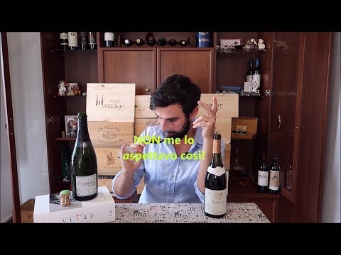 Ok,  QUESTO NON me lo aspettavo davvero – La mia Valutazione – L. Tramier & Fils Morgon 2017