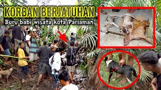 Download lagu TRAGIS❗SERANGAN BALIK BABI HUTAN GUGURKAN TIGA EKOR ANJING PEMBURU | Buru Babi Wisata Kota Pariaman. mp3 Download lagu TRAGIS❗SERANGAN BALIK BABI HUTAN GUGURKAN TIGA EKOR ANJING PEMBURU | Buru Babi Wisata Kota Pariaman. mp3