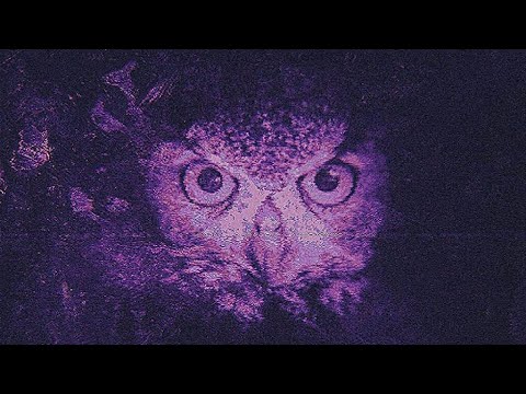 𝐖𝐞𝐲𝐧𝐞𝐫.𝐕𝐚𝐧𝐤𝐞 - 𝐉𝐨𝐡𝐧𝐲 𝐎𝐧 𝐓𝐡𝐞 𝐑𝐨𝐚𝐝 (𝐎𝐥𝐝𝐬𝐜𝐡𝐨𝐨𝐥 𝐌𝐢𝐱)